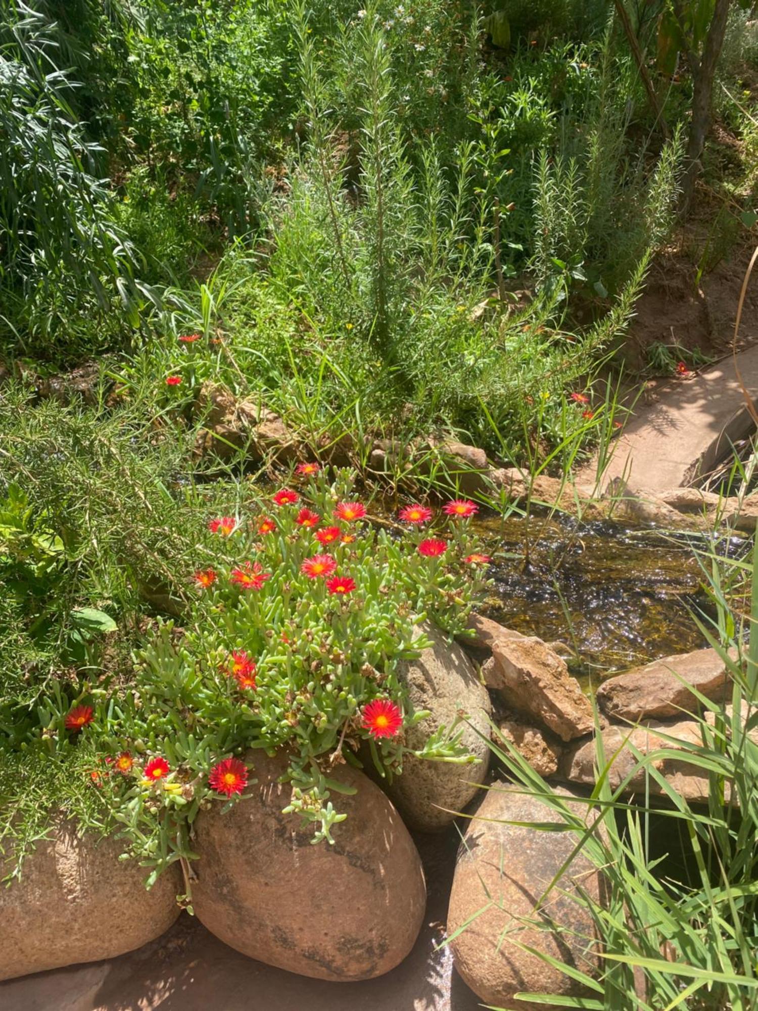 Jardin Sakina - Chambre D'Hotes Oulad Moumene Екстериор снимка