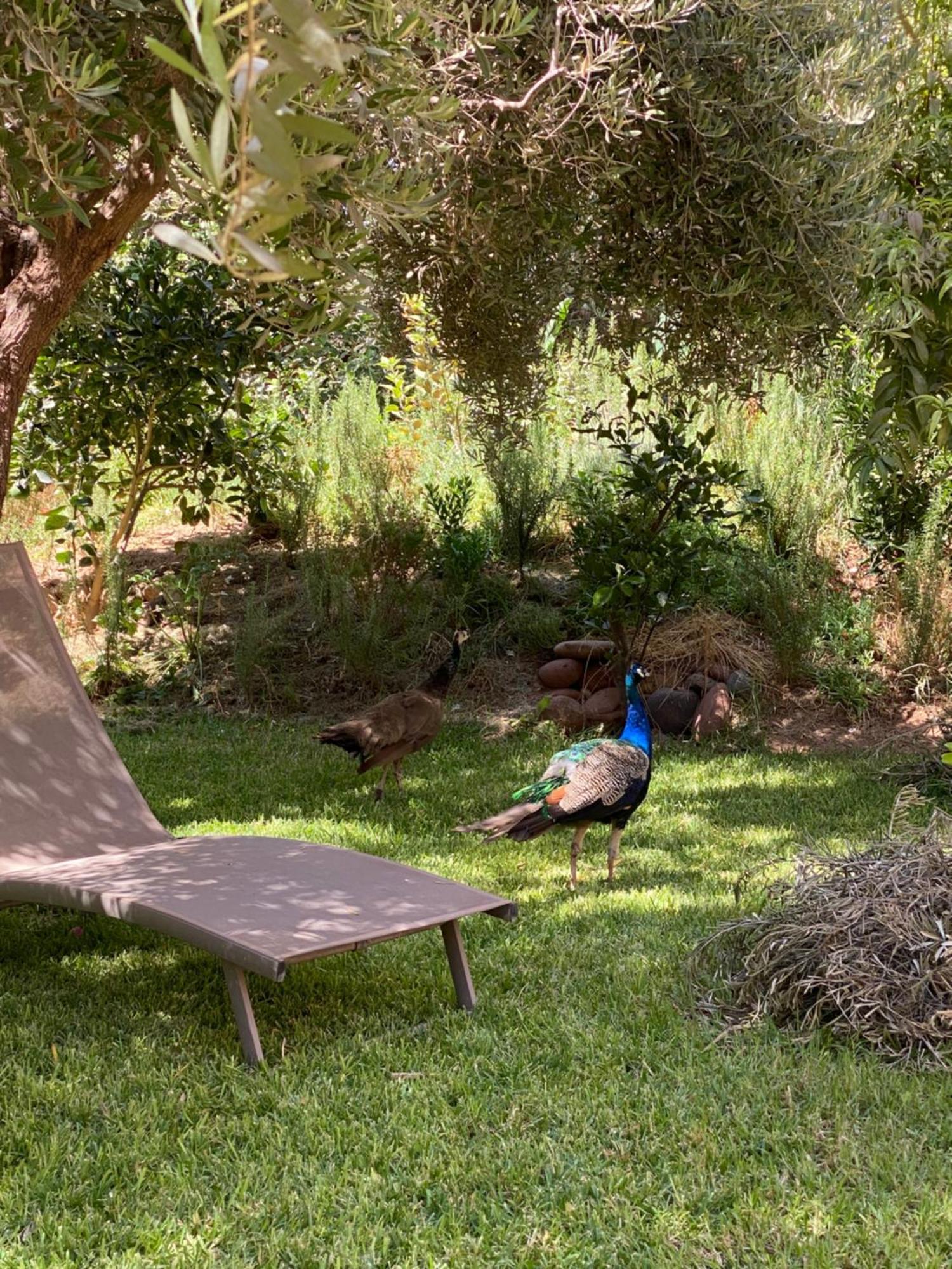 Jardin Sakina - Chambre D'Hotes Oulad Moumene Екстериор снимка